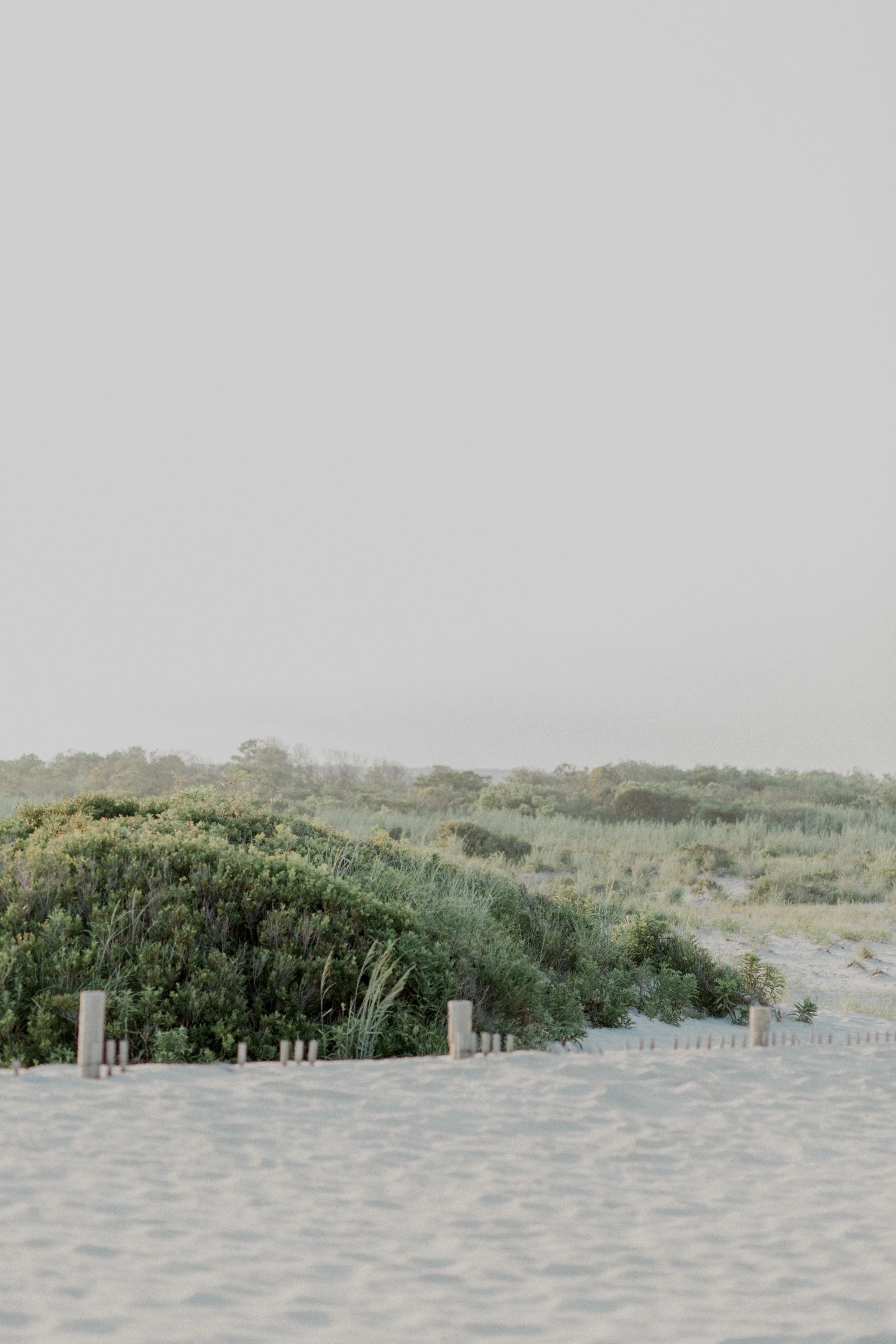 Sand dunes at the beach